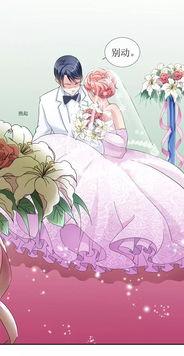 替嫁新娘进阶录,从平凡到逆袭的华丽蜕变